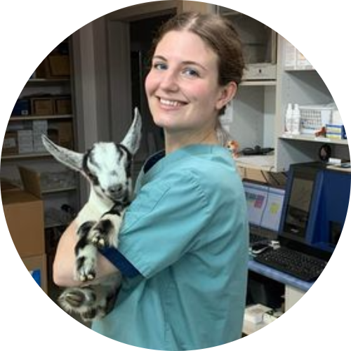 Profile for Erika Brandson
