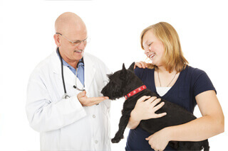 Dog with doctor